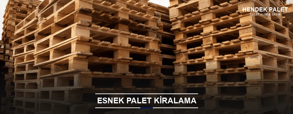 Hendek Uygun Fiyatlı Palet Kiralama Hendek Uygun Fiyatlı Palet Kiralama